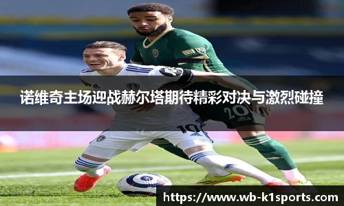 诺维奇主场迎战赫尔塔期待精彩对决与激烈碰撞